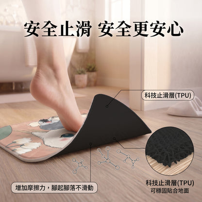 NaSaDen台灣製造SGS安全認證合格超強吸水浴室地墊60cm*40cm