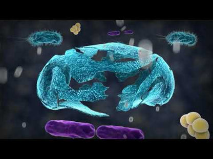 【Savamunt】賽芙嫚 3D立體IONIC銀纖維抗菌嬰兒枕頭/幼兒午睡枕
